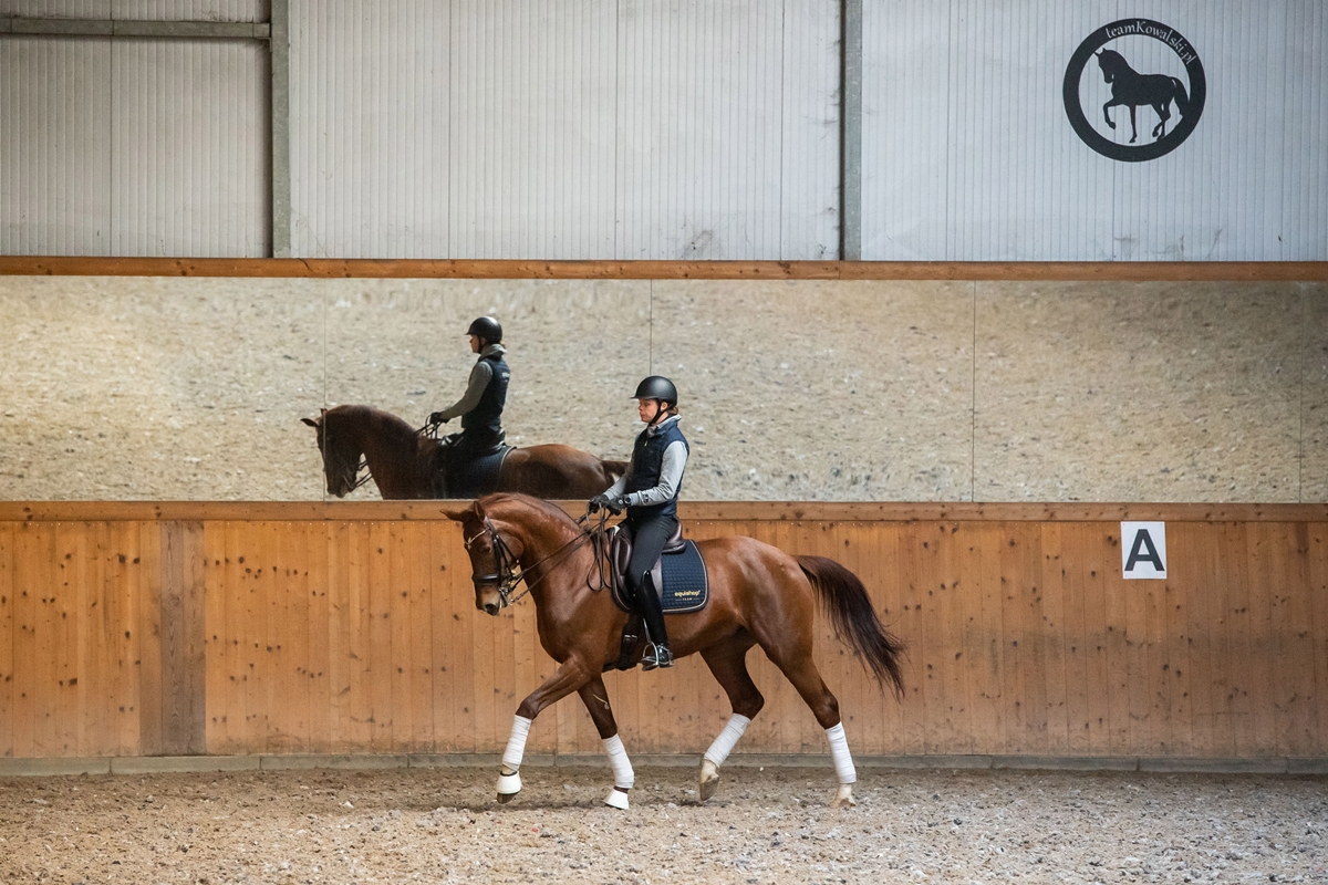 prezentacja_nowych_siodel_prestige_italia_team_kowalski